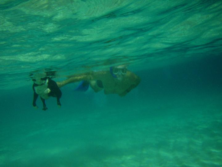 Anaconda hp 130.jpg